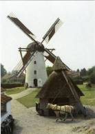 ERTVELDE Bij Evergem (O.Vl.) - Molen/moulin - De Stenen Molen En De Rosmolen In Werking. Met Stempel Aan Achterzijde. - Evergem