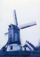 GISTEL (W.Vl.) - Molen/moulin - De Vroegere Oostmolen In 1961 Met Verdekkerde Wieken. Afgebrand In 1977. - Gistel