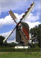 BAKEL (Noord-Brabant) - Molen/moulin - Fraaie Opname Van Standerdmolen Sint-Willibrordus Opgezeild En In Werking - Otros & Sin Clasificación