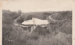 NOYANT LA GRAVOYERE (Maine Et Loire) - L'Etang De La Corbinière - Autres & Non Classés