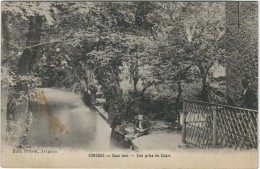 Vaucluse, Sorgue, Sous Bois, Vue Prise Du Cours - Sorgues