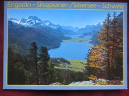 Silvaplana (GR) - Silvaplaner- Und SilserSee - Silvaplana