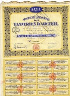 ACTION DES TANNERIES  D ARCUEIL  ACTION DE 100 F AU PORTEUR 1928 - S - V