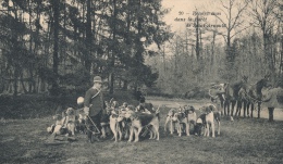 ( CPA 78 )  SAINT-ARNOULT / Rendez-vous Dans La Forêt De Saint-Arnoult - - St. Arnoult En Yvelines