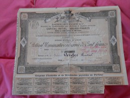 Action Réservée 100  Francs Société Lyonnaise Des Eaux Minérales Docteur JACQUET  Lyon - 1901 - Eau