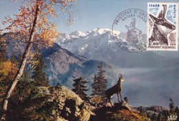 Andorre N°274 - Carte Maximum - Maximumkaarten