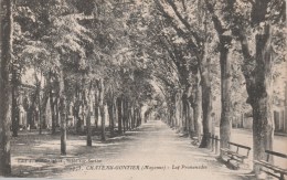 CHATEAU-GONTIER (Mayenne) - Les Promenades - Chateau Gontier