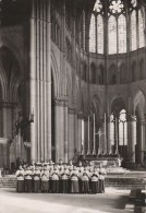 REIMS (Marne) - Les Grands Et Petits Clercs De La Cathédrale De Reims - Reims