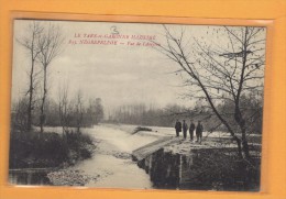 82 Tarn Et Garonne Negrepelisse Vue De L 'aveyron - Negrepelisse