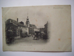 Centre ,rare , Animation ,1901 - Provencheres Sur Fave