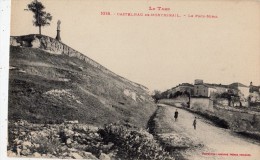 CASTELNAU-DE-MONTMIRAIL LE PECH-MIRAL ANIMEE - Castelnau De Montmirail