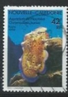 NLLE-CALEDONIE : Y&T(o)  N° 595 - Used Stamps