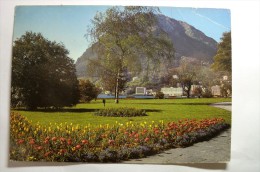 Lugano Paradiso - Quai Con S. Salvatore - Paradiso