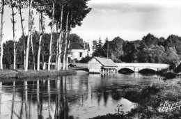 V1064 Cpsm 28 Villemeux Sur Eure - Les Lavoirs Sur L'Eure Et Le Pont - Villemeux-sur-Eure