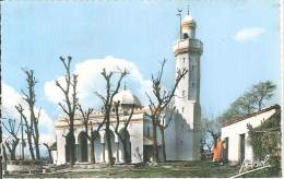 CPSM Algérie - Tizi Ouzou - La Nouvelle Mosquée - Tizi Ouzou