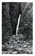 264333-Hawaiian Islands, Hawaii, Oahu, RPPC, Sacred Falls, Photo No 168 - Oahu