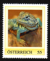 ÖSTERREICH 2009 ** Halsband-Leguan, Crotaphytus Collaris - PM Personalized Stamp MNH - Personnalized Stamps