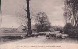 Neuvy Sautour (89) Les Bords Du Creanton  à Boullay Les Belles Fontaines    CPA  1906 - Neuvy Sautour