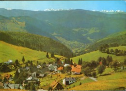 Germany - Postcard Circulated In 1981 -  Todtnauberg  - 2/scans - Todtnau