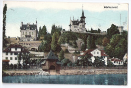 WÄDENSWIL: Villenviertel Am See 1906 - Wädenswil