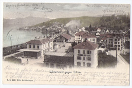 WÄDENSWIL Gegen Süden: Hotel Du Lac, Bahnhof, Zug 1905 - Wädenswil