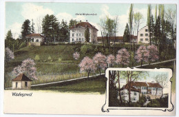 WÄDENSWIL: Obst- Und Weinbau Schule ~1900 - Wädenswil