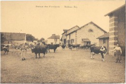 FERME DES FERRIERES (78) Madame Rey Belle Animation - Sonstige & Ohne Zuordnung