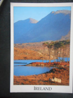 CPDM - IRLANDE "CONNEMARA - Early Morning N DERRYCLARE LOUGH Between CLIFDEN And RECESS" - Clare