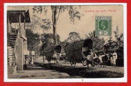 ASIE --  SRI LANKA - ( CEYLAN )  -- Loading Tea Carts - Sri Lanka (Ceylon)