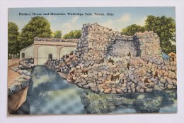 MONKEY HOUSE AND MOUNTAIN, WALBRIDGE PARK, TOLEDO, OHIO - Toledo