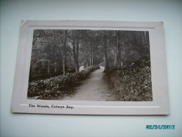 THE WOODS , COLWYN BAY  , OLD  POSTCARD , O - Denbighshire