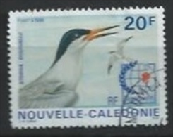 NLLE-CALEDONIE : Y&T(o)  N° 695 - Used Stamps