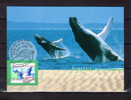 ✅ AUSTRALIE 1999 : Carte Maximum Et PAP Neuf " BALEINE ". Parfait état. CM - Baleines