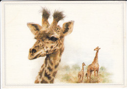 CPSM GIRAFE GIRAFES GIRAFON DESSINES - Girafes