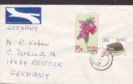 South Africa AIR MAIL Par Avion Lugpos Label BERGVLIET 1996 Cover Brief ROSTOCK Germany Hedgehog Igeln - Poste Aérienne