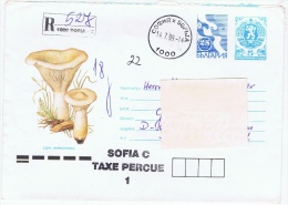 BG+ Bulgarien 1999 Mi Xx Yy Wappen - Cartas & Documentos