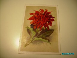 USSR RUSSIA  FLOWERS , 1959 POSTAL STATIONERY POSTCARD ,0 - 1950-59