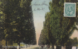 POPLAN AVENUE HAMILTON 1908 - Hamilton