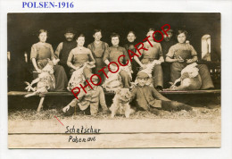 POLSEN-Schafschur-1916-Tonte Des MOUTONS-Beruf-Metier-Profession-Landwirtschaft-Agriculture-PHOTOKARTE- - Autres & Non Classés