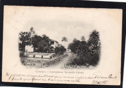 AFRIQUE OCCIDENTALE GUINEE FRANCAISE CONAKRY CAMAYENNE LE JARDIN D' ESSAI CARTE  PRECURSEUR - French Guinea