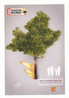 PREVENTION INCENDIE - Trees