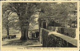 Château De Mirwart (Grupont) -- La Tour De Dinant.   (2 Scans) - Tellin