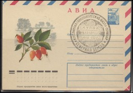 RUSSIA USSR Stamped Stationery Private Special Cancellation USSR Se SPEC NNN 1977 Glaciology School Arctic Exploration - Locales & Privées
