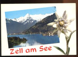 CPM Autriche Alpenstadt ZELL Am SEE Gegen Kitzsteinhorn - Zell Am See