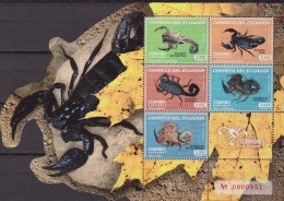 Delcampe - Ecuador 2014 SCORPIONI SCORPIONS Ragni Animali SHEET MNH - Araignées