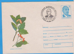 MEDICINAL PLANTS  ROMANIA POSTAL STATIONERY COVER 1987 - Heilpflanzen