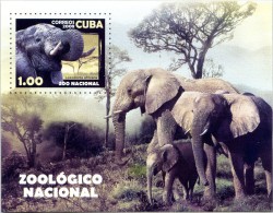 N° Yvert & Tellier 242 - Bloc Timbre De Cuba (2008) (Dentelure Figurée) - MNH - Zoo National - Tête D'Éléphant (JS) - Blocs-feuillets