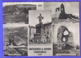 Carte Postale 48. Chateauneuf-de-Randon  L'Habitarelle  Trés Beau Plan - Chateauneuf De Randon