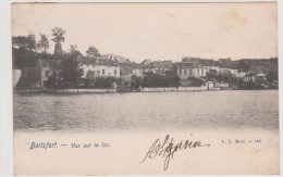 (3875D) Boitsfort Vue Sur Le Lac - Watermaal-Bosvoorde - Watermael-Boitsfort