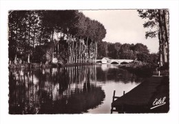 28 Villemeux Sur Eure Paysage Sur L' Eure Et Baignade Cachet Villemeux 1955 - Villemeux-sur-Eure